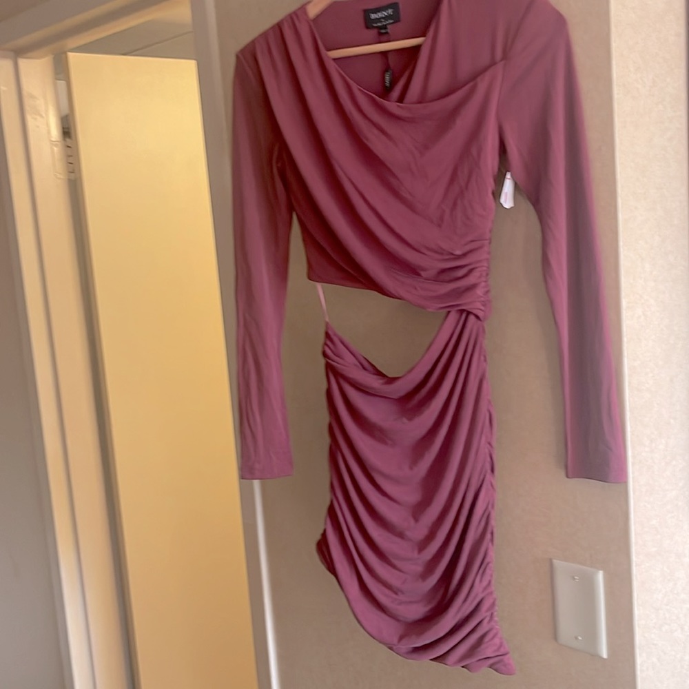 Bardot Rosa Ruched Mini Dress . Size 2